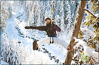 Ziptrek Ecotours Adventure - Eagle Tour